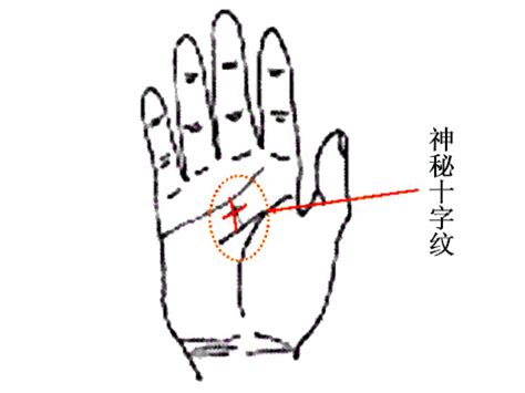 掌中十字紋|手相